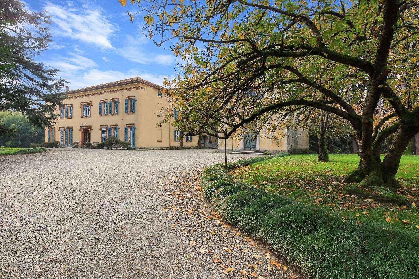 Corte in ghiaia con albero secolare