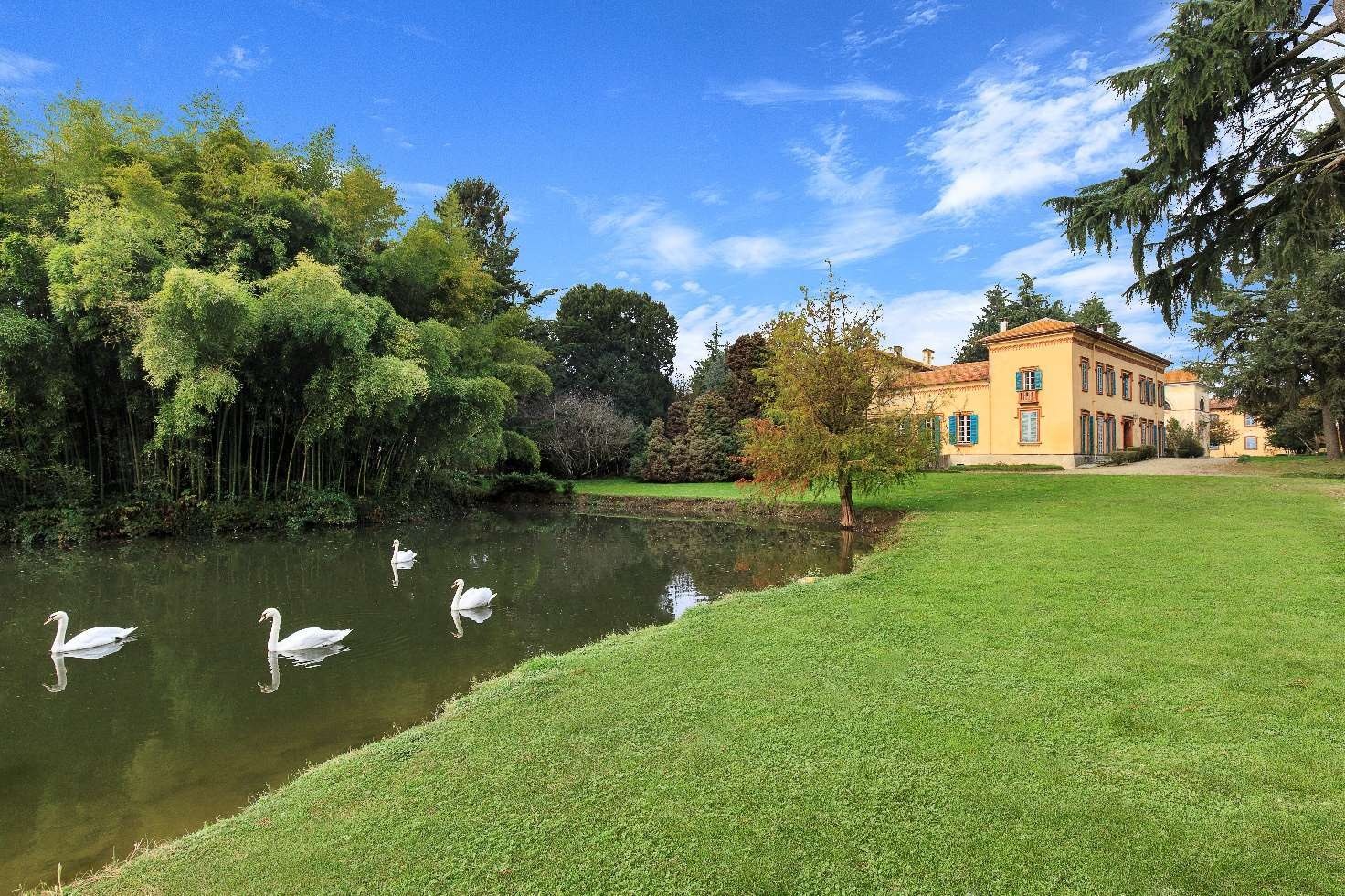 Laghetto con cigni e facciata del castello